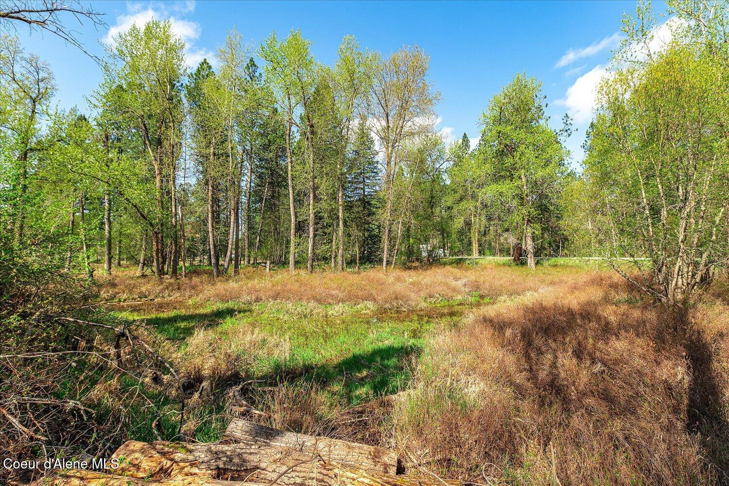 36524 East Canyon Road Cataldo, ID 83810 - Photo 61 of 88 58-47.54922, -116.32625 014