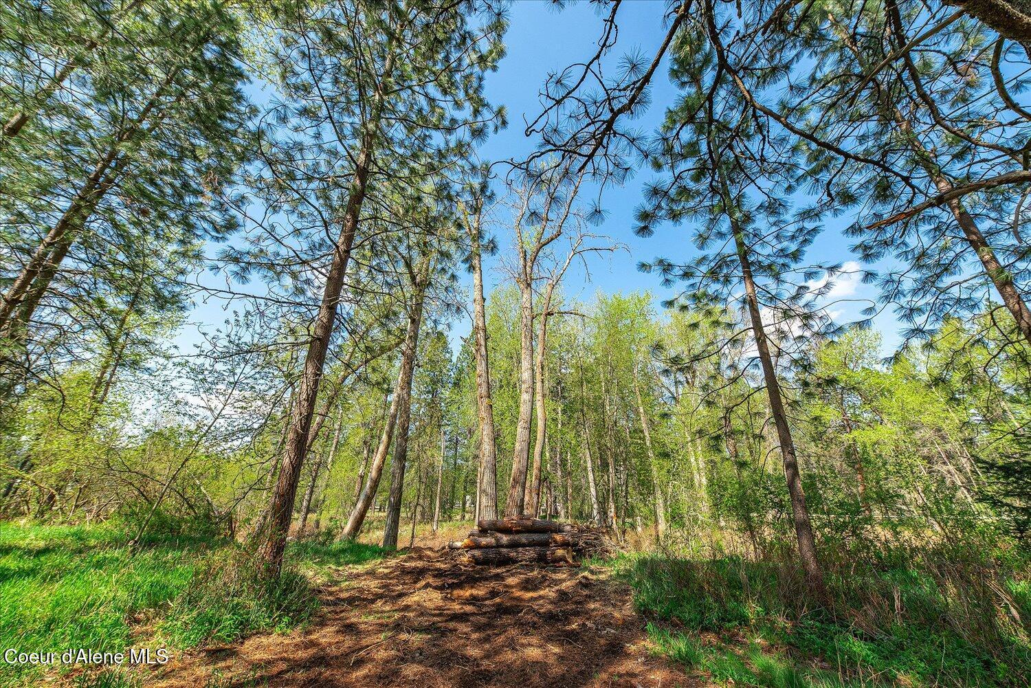 36524 East Canyon Road Cataldo, ID 83810 - Photo 62 of 88 59-47.54922, -116.32625 015