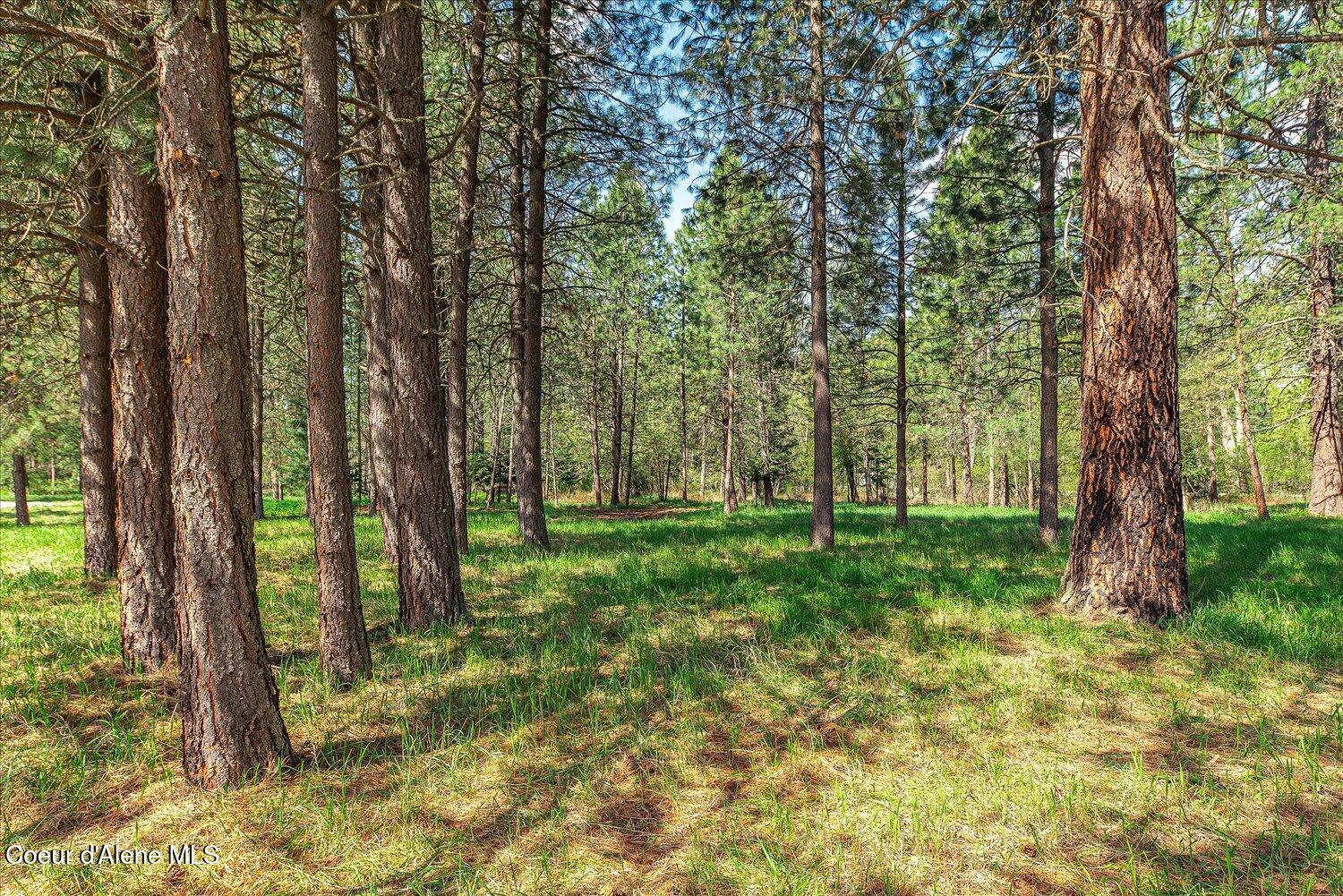 36524 East Canyon Road Cataldo, ID 83810 - Photo 63 of 88 60-47.54922, -116.32625 016
