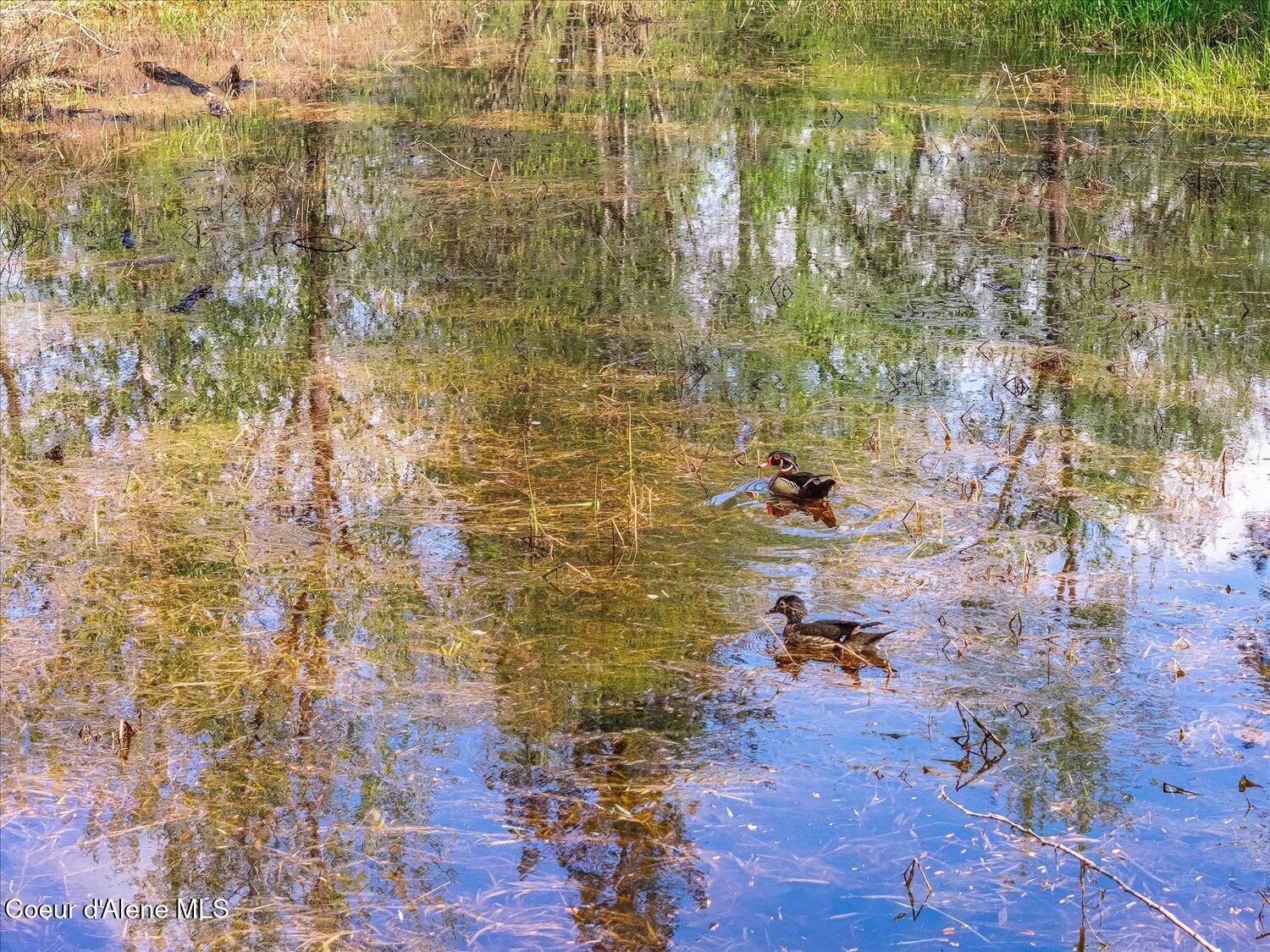 36524 East Canyon Road Cataldo, ID 83810 - Photo 68 of 88 65-47.54922, -116.32625 021