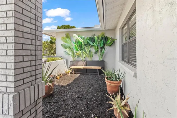 a potted plant sitting in front of a door