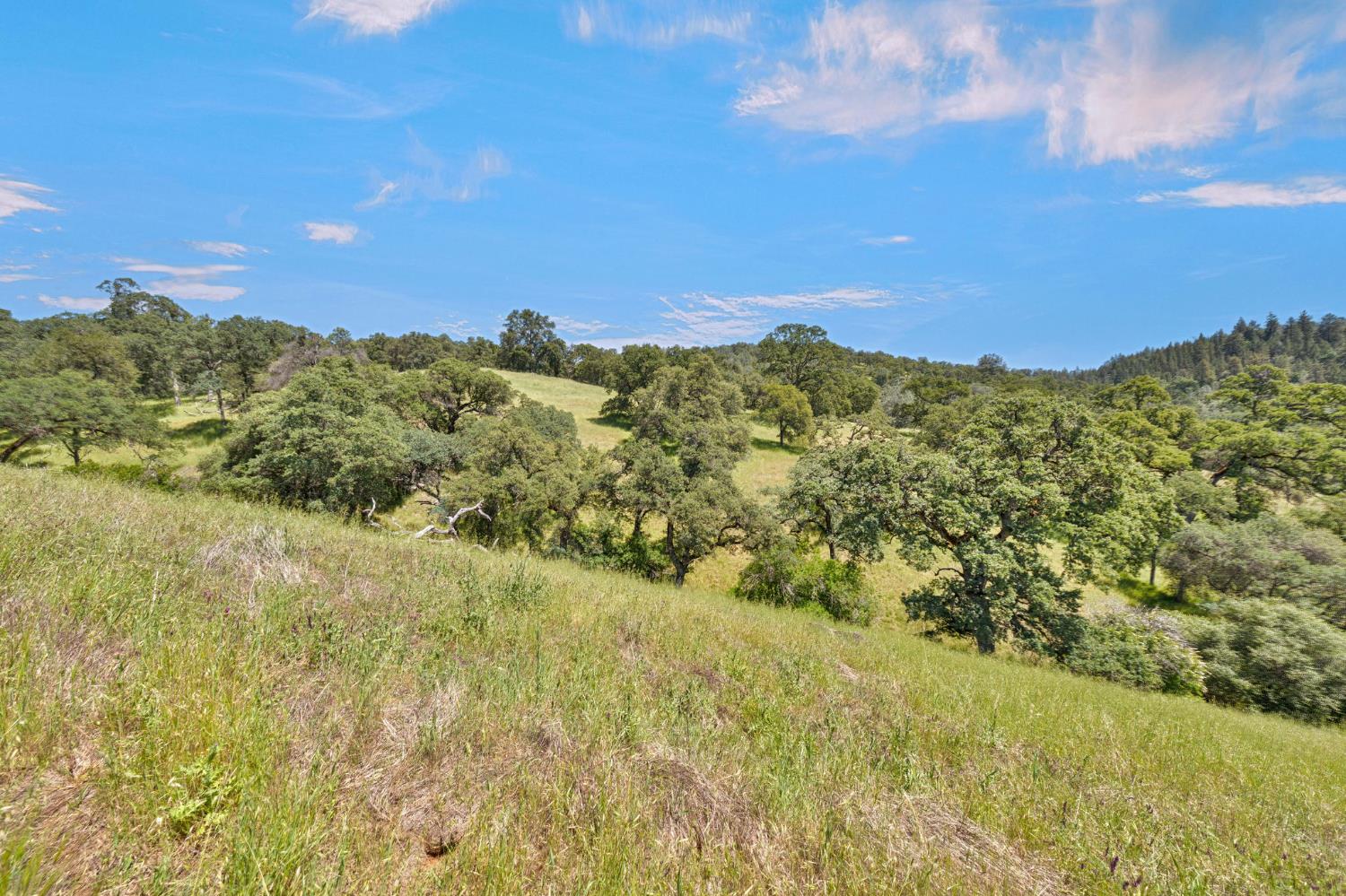 0 Bayne Road Garden Valley, CA 95633 - Photo 18 of 67 Gallery Image 18