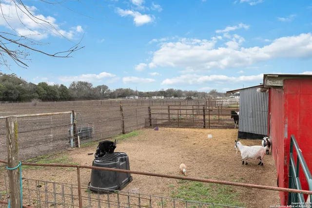 a front view of house with outdoor space and yard