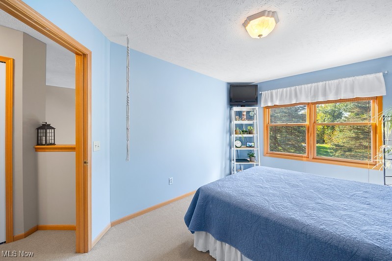 1035 Parsons Road Grafton, OH 44044 - Photo 16 of 25 Bedroom with carpet and a textured ceiling