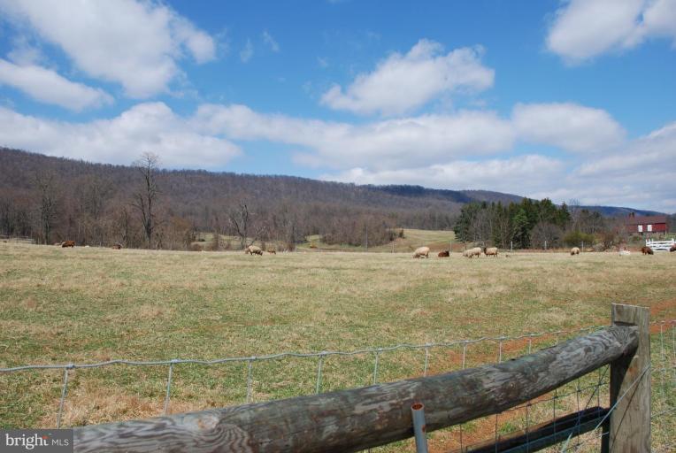 826 Valley Road Knoxville, MD 21758 - Photo 12 of 17 Pasture