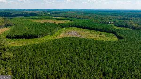 a view of a garden with a lake
