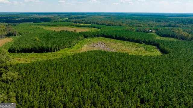 a view of a garden with a lake