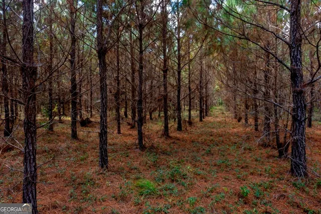 a view of open space with trees