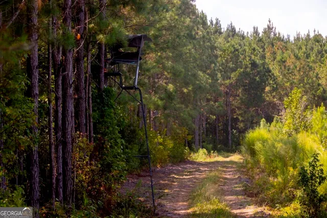 a view of a outdoor space