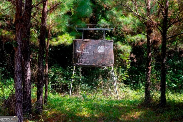 a sign that is sitting in a forest