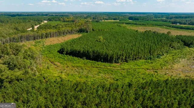 a view of a lush green forest with a lake view