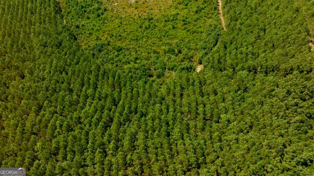 a view of a lush green field