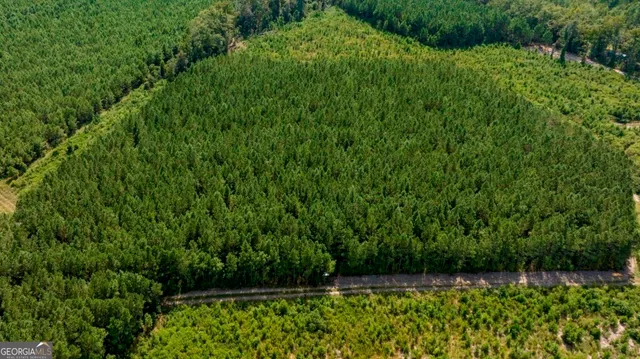 a view of yard with green space