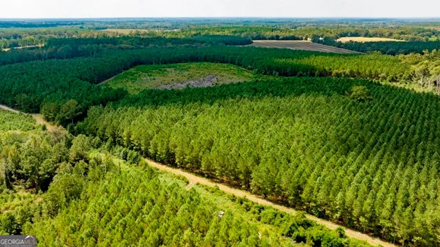 a view of a lush green space and lake view
