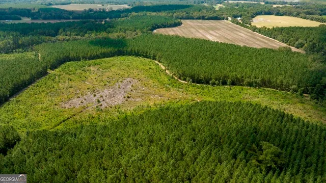 a view of a backyard with a garden