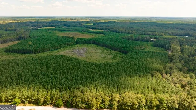 a view of a city with lush green forest