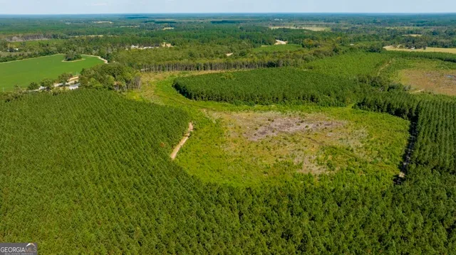 a view of a city with lush green forest