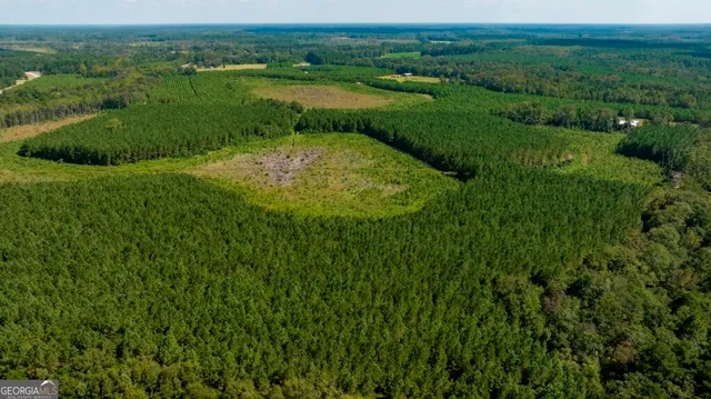 a view of lake with green space
