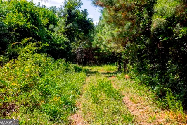 a view of swimming pool from a yard