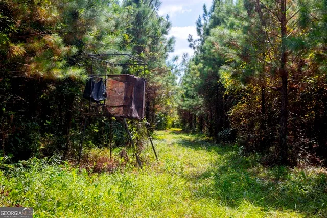 a backyard of a house with yard and trampoline