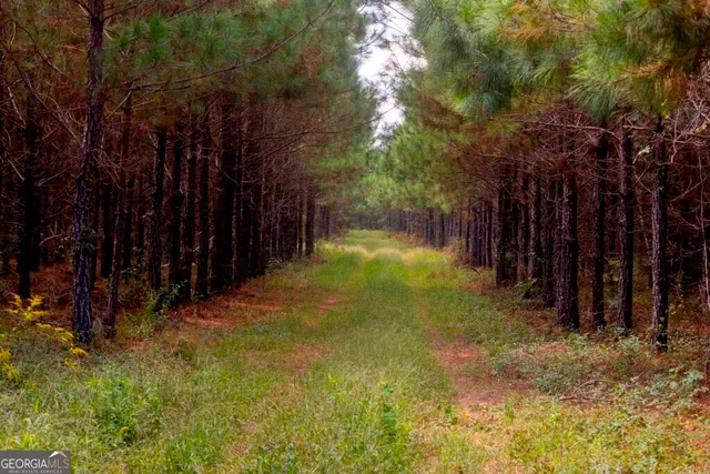 a view of an outdoor space