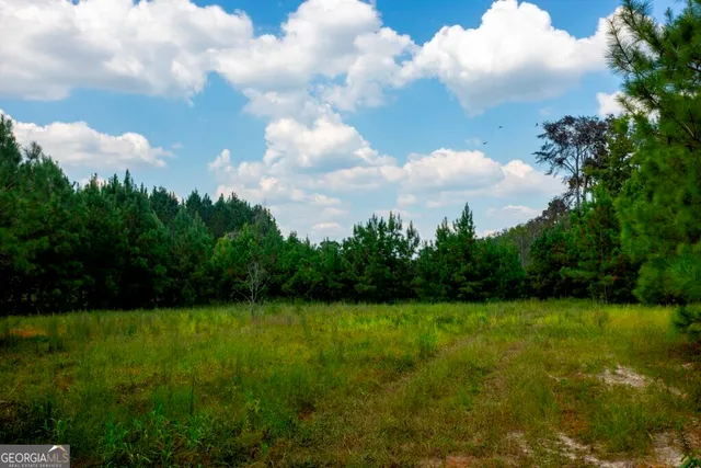 a view of a golf course with a garden