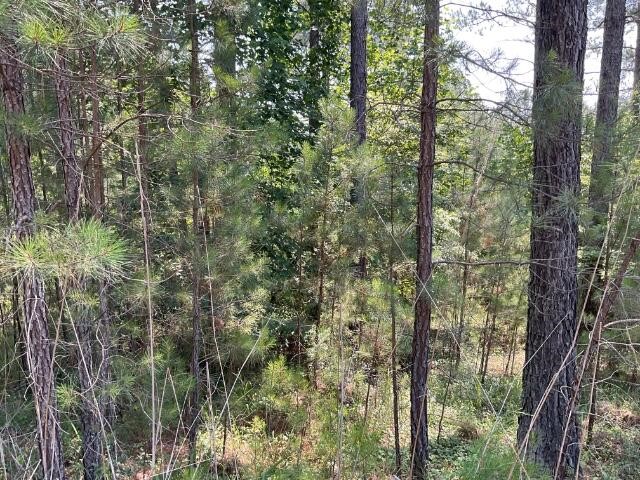 447 Spring Cove Way Six Mile, SC 29682 - Photo 1 of 3 Gallery Image 1