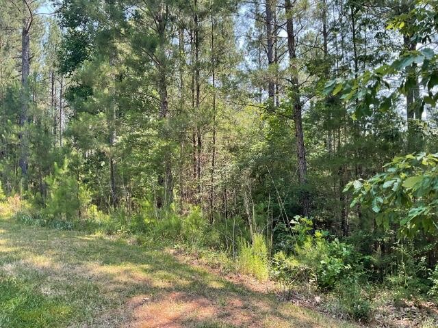 447 Spring Cove Way Six Mile, SC 29682 - Photo 2 of 3 Gallery Image 2