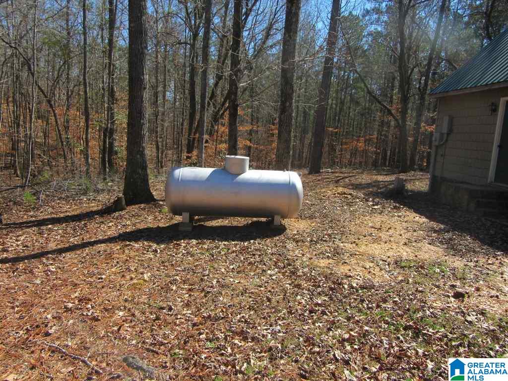 615 Fox Trot Road Talladega, AL 35160 - Photo 3 of 31