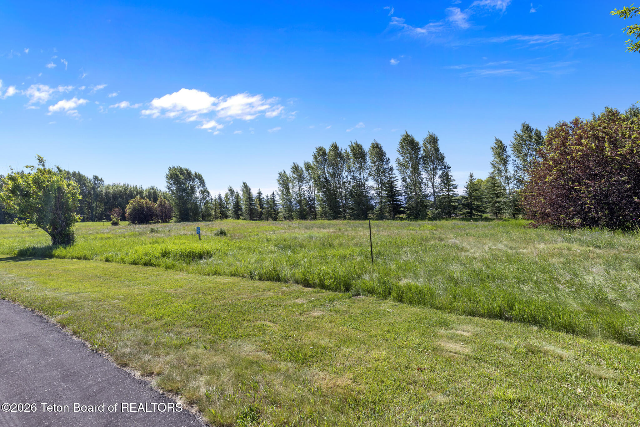 4617 Paradise Springs Road Victor, ID 83455 - Photo 7 of 26 7 Paradise