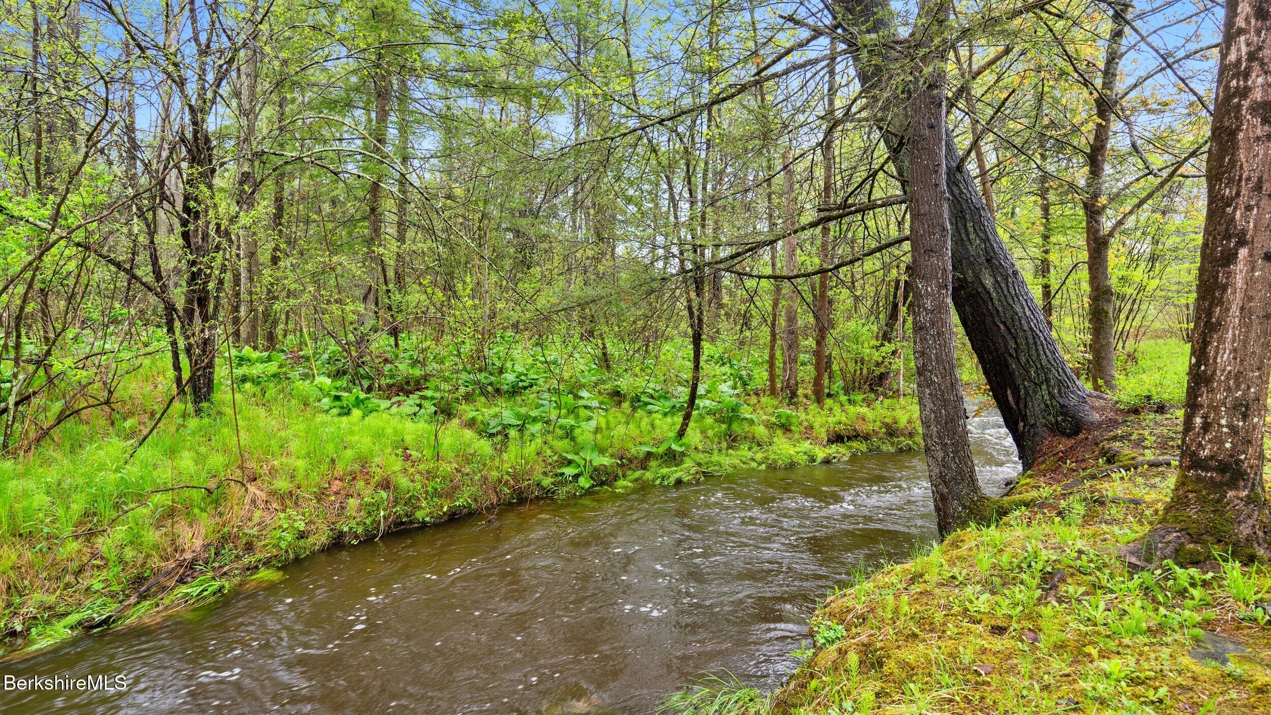 Willow Brook