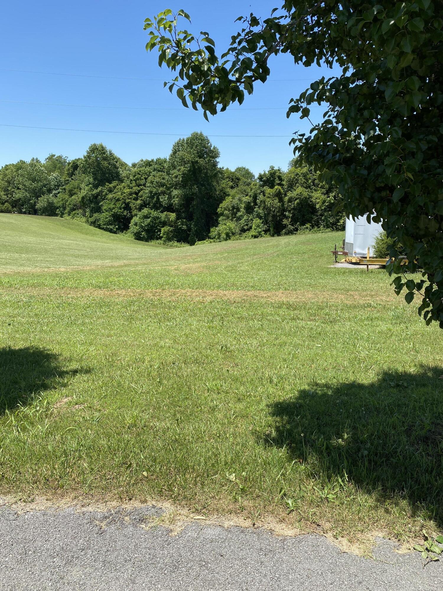 3153 Beech Grove Road Science Hill, KY 42553 - Photo 2 of 20 IMG_0490