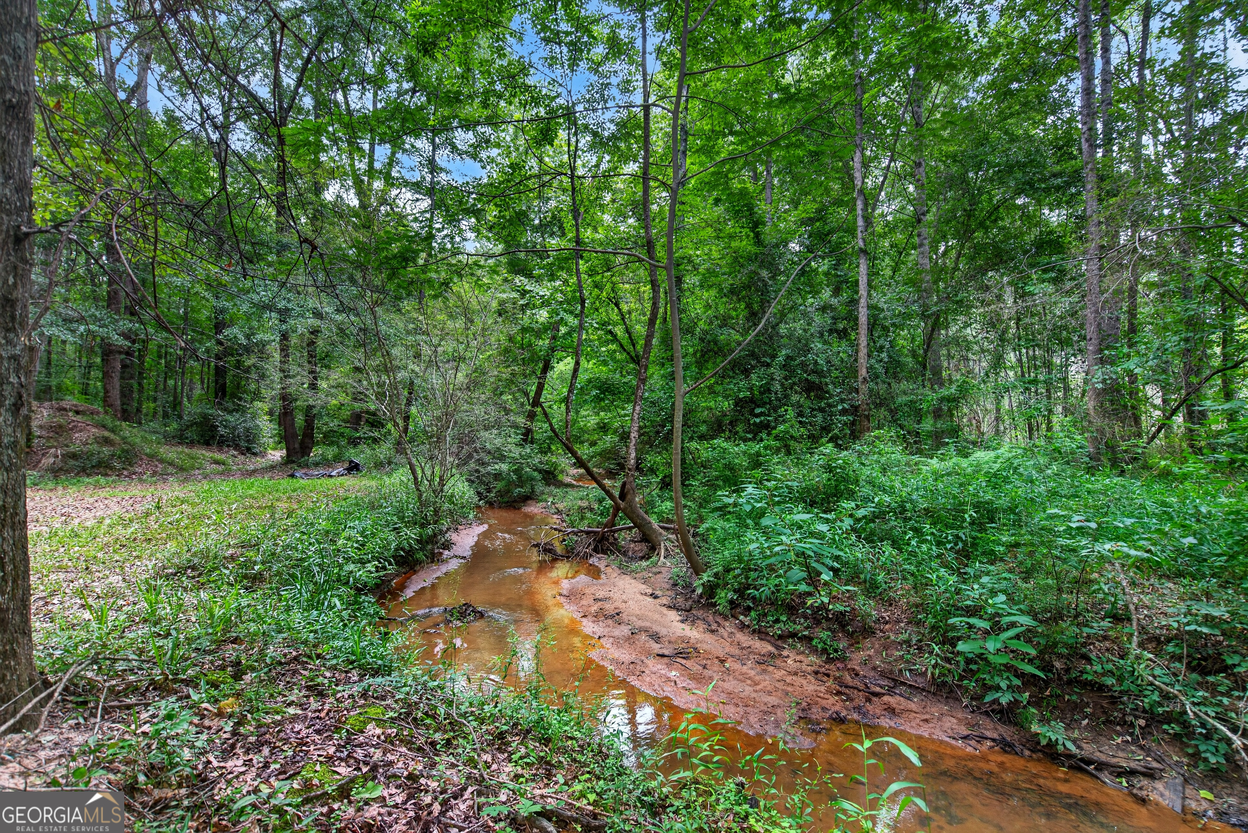 697 John Lovelace Road LaGrange, GA 30241 - Photo 42 of 48
