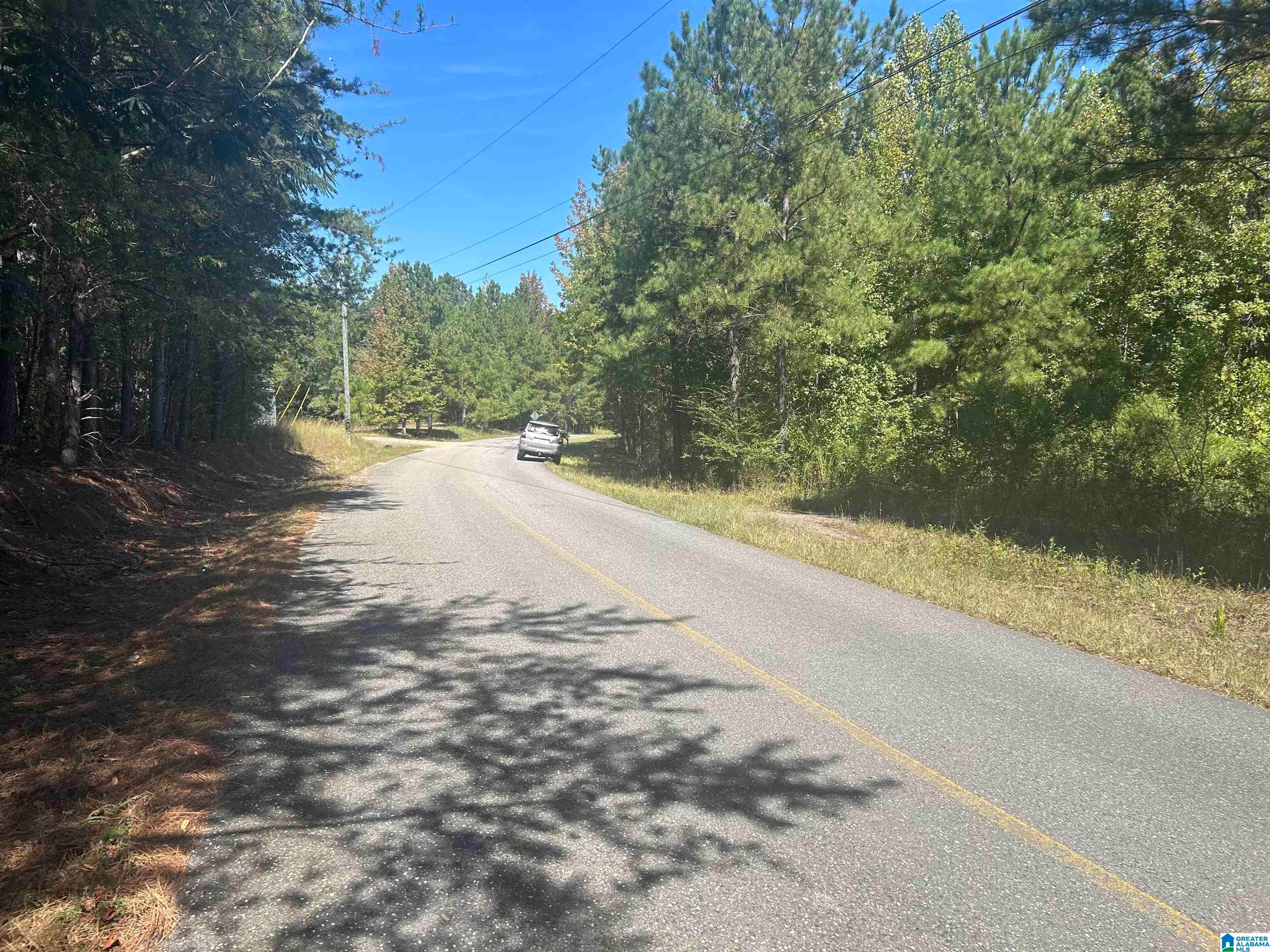 Lot 4 Mill Creek Road, Unit 4 Townley, AL 35587 - Photo 4 of 9 Gallery Image 4