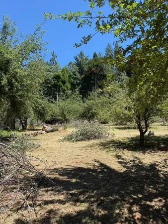 $39,000 | 1869 Highway 4, Arnold, CA 95223