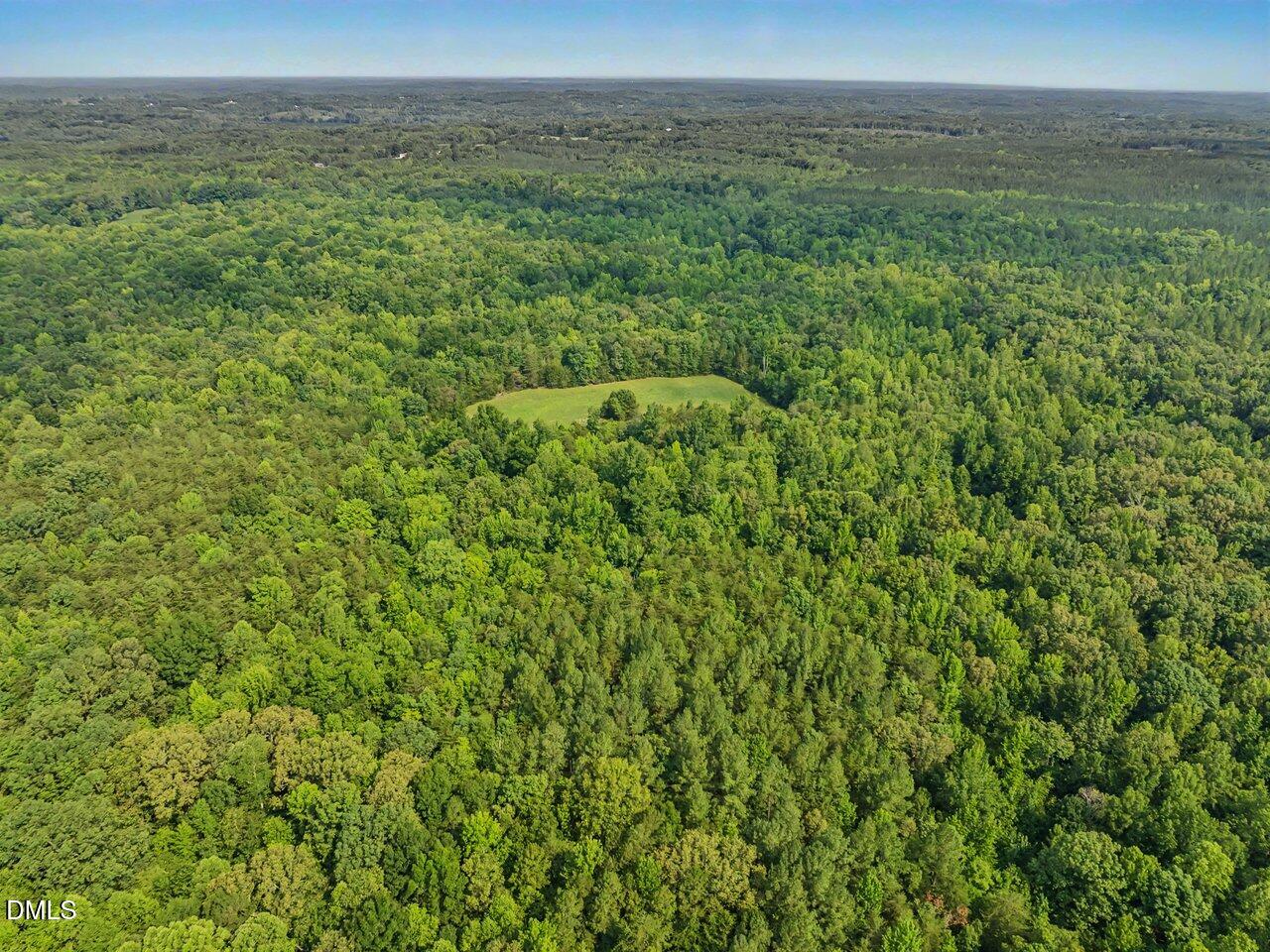 7793 Ridgeville Road Leasburg, NC 27291 - Photo 33 of 89 600+ acres of Timber Forest add real value to the land.