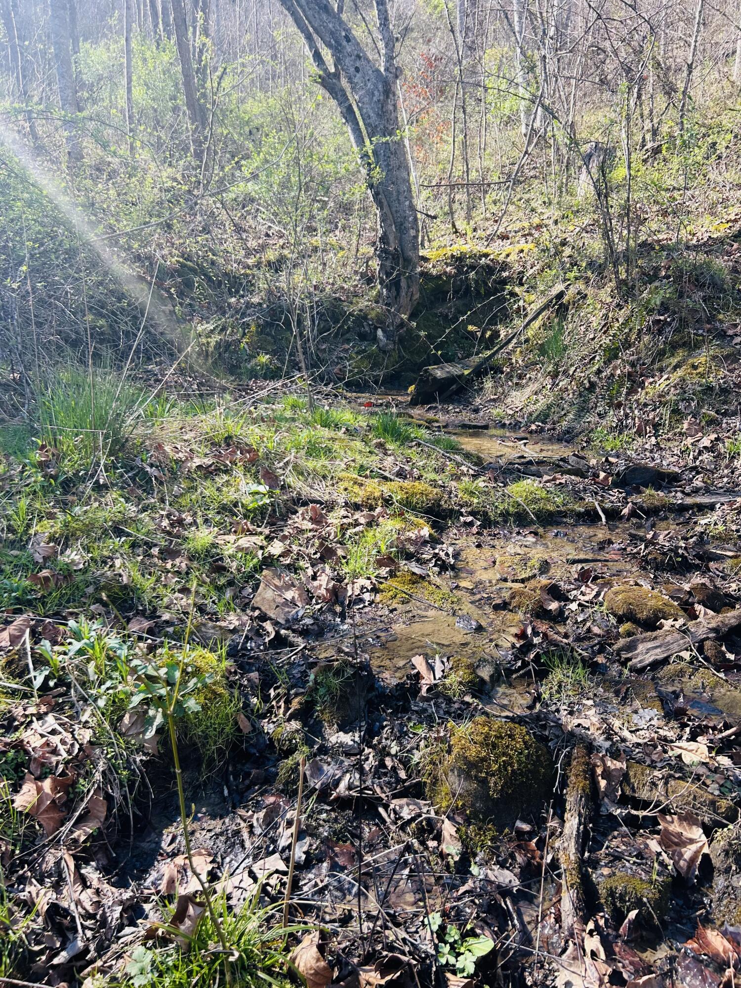 0 Pittman Branch Road Mount Vernon, KY 40456 - Photo 12 of 14 B911DCA7-666A-4FB3-BFA4-323BBDEF34D7