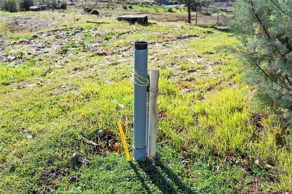 1030 Bille Road Paradise, CA 95969 - Photo 7 of 15 a view of a yard with plants