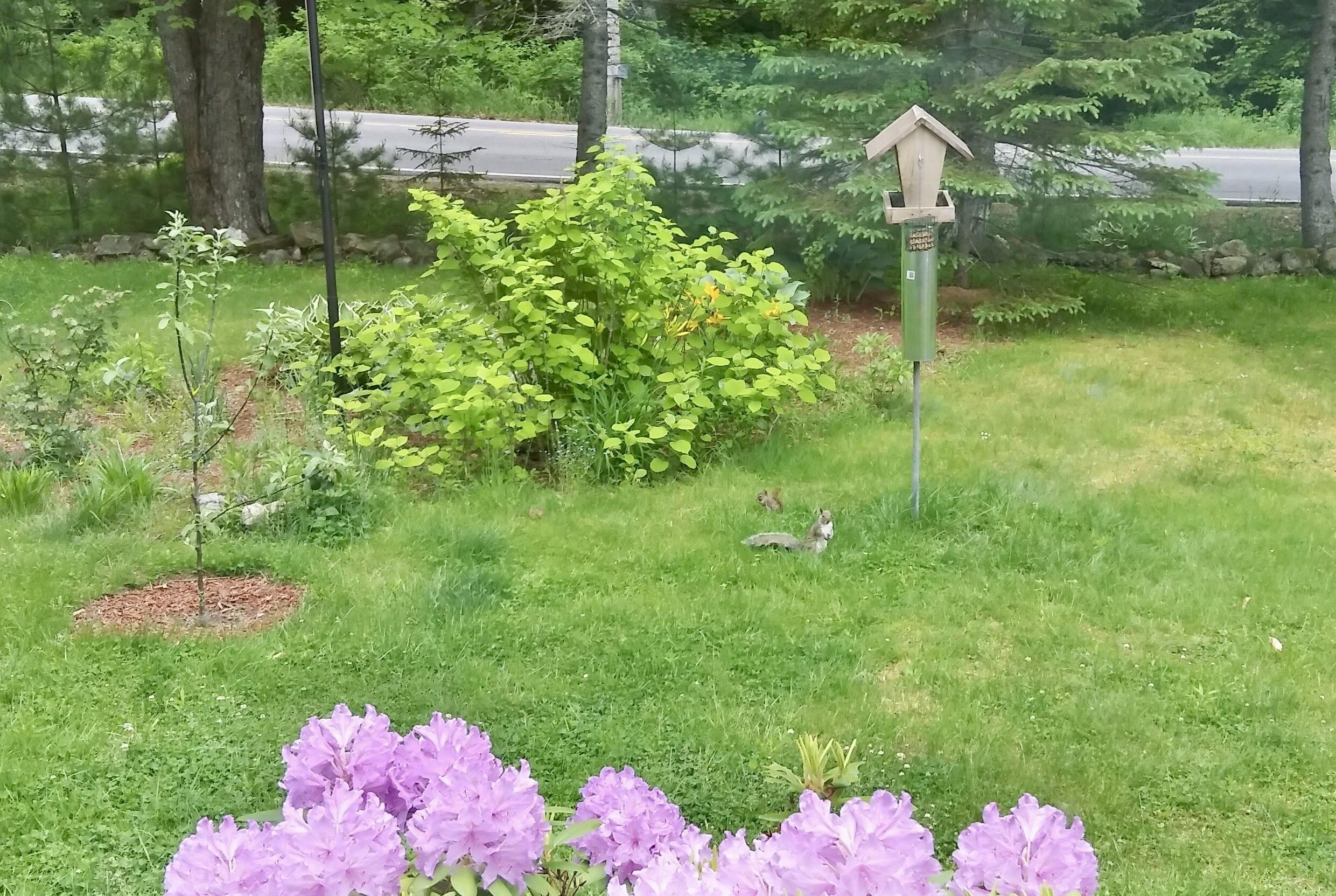 96 Bowdoinham Road Sabattus, ME 04280 - Photo 53 of 75 Spring/Summer Gardens