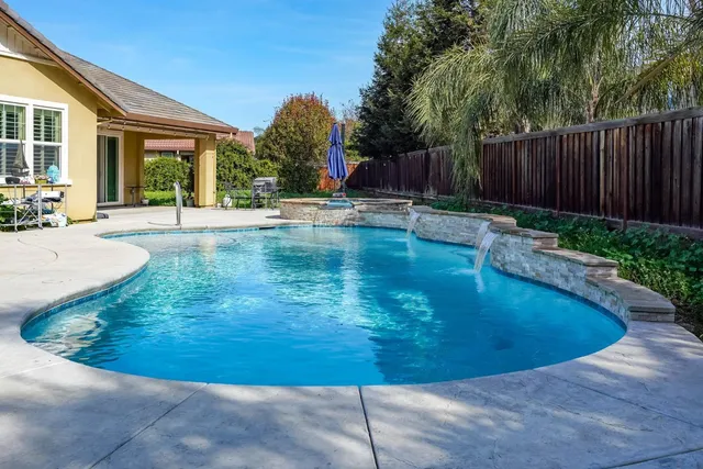 a view of a bird of a tree