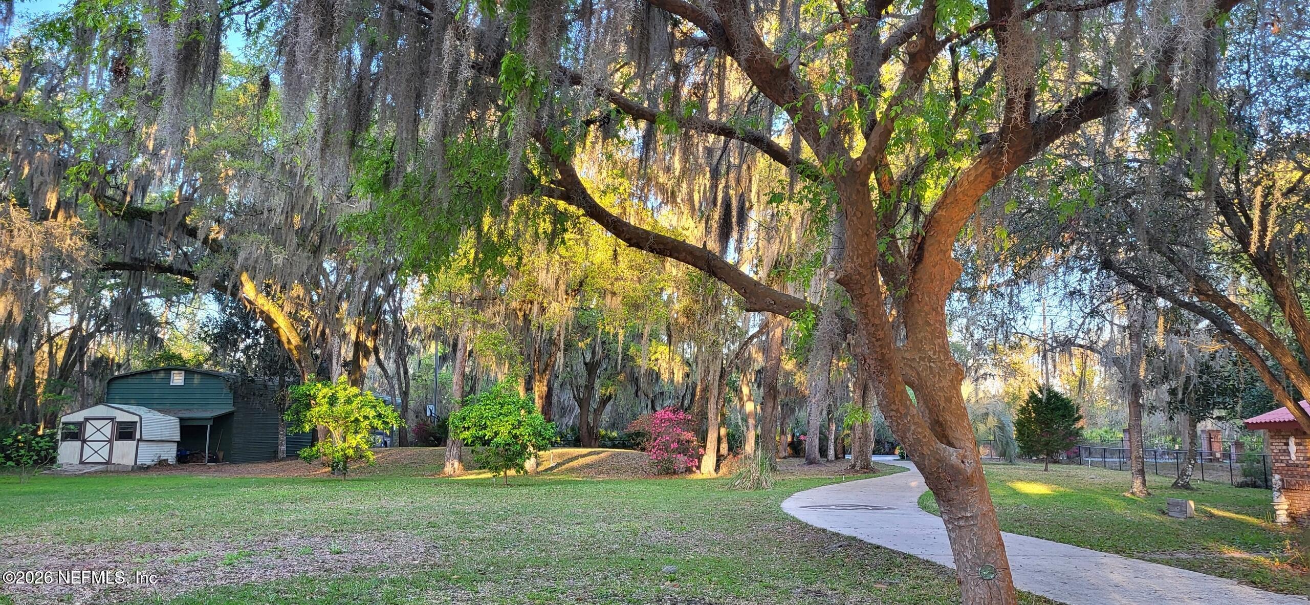 524 Cedar Creek Road Palatka, FL 32177 - Photo 72 of 82 Drive towards home