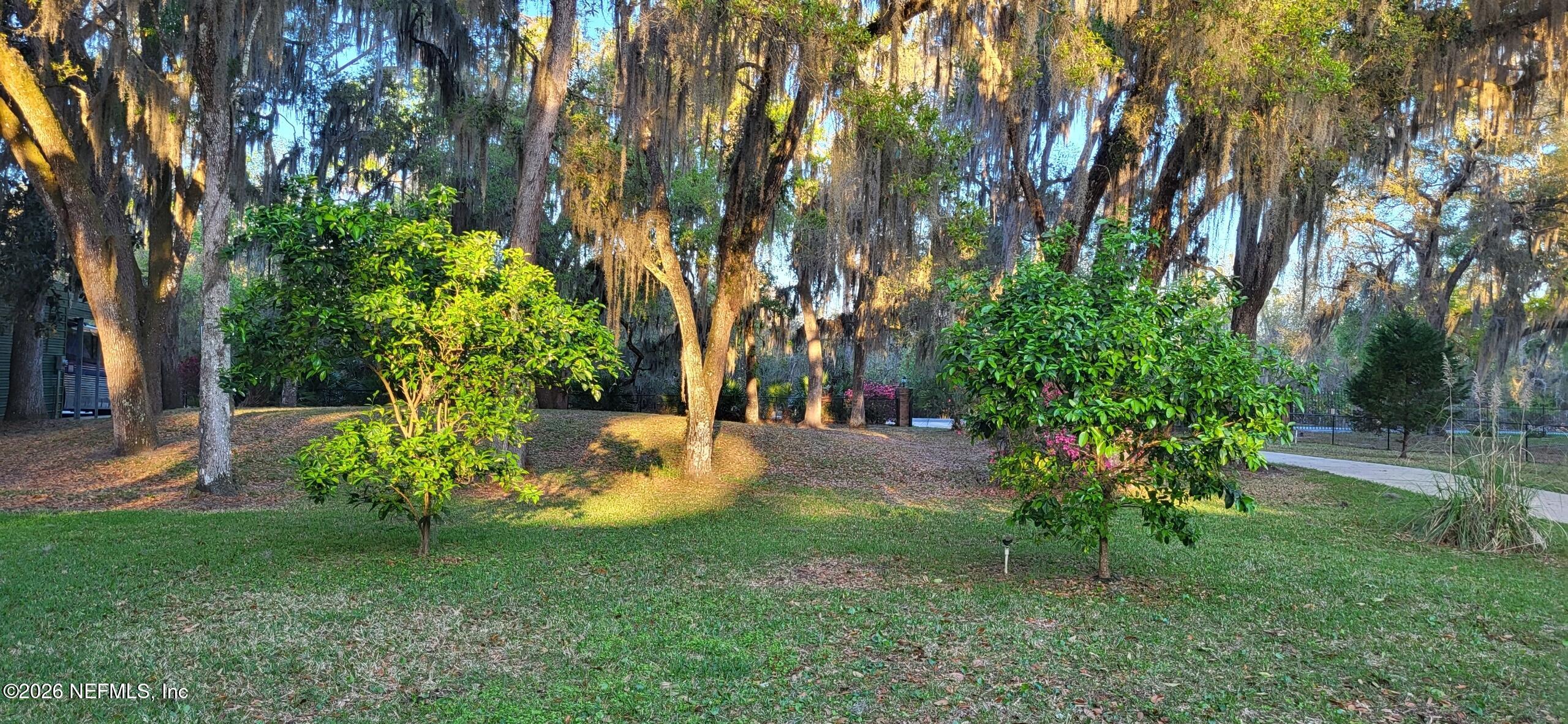 524 Cedar Creek Road Palatka, FL 32177 - Photo 73 of 82 Fruit Trees