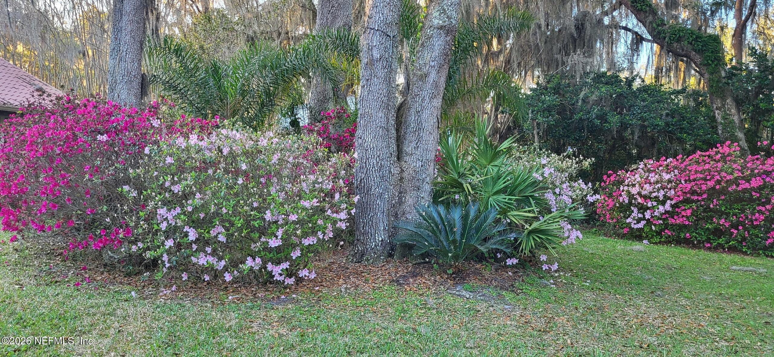 524 Cedar Creek Road Palatka, FL 32177 - Photo 74 of 82 Nicely landscaped