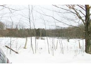 190 Harlow Hill Road Randolph, VT 05060 - Photo 3 of 4 Gallery Image 3