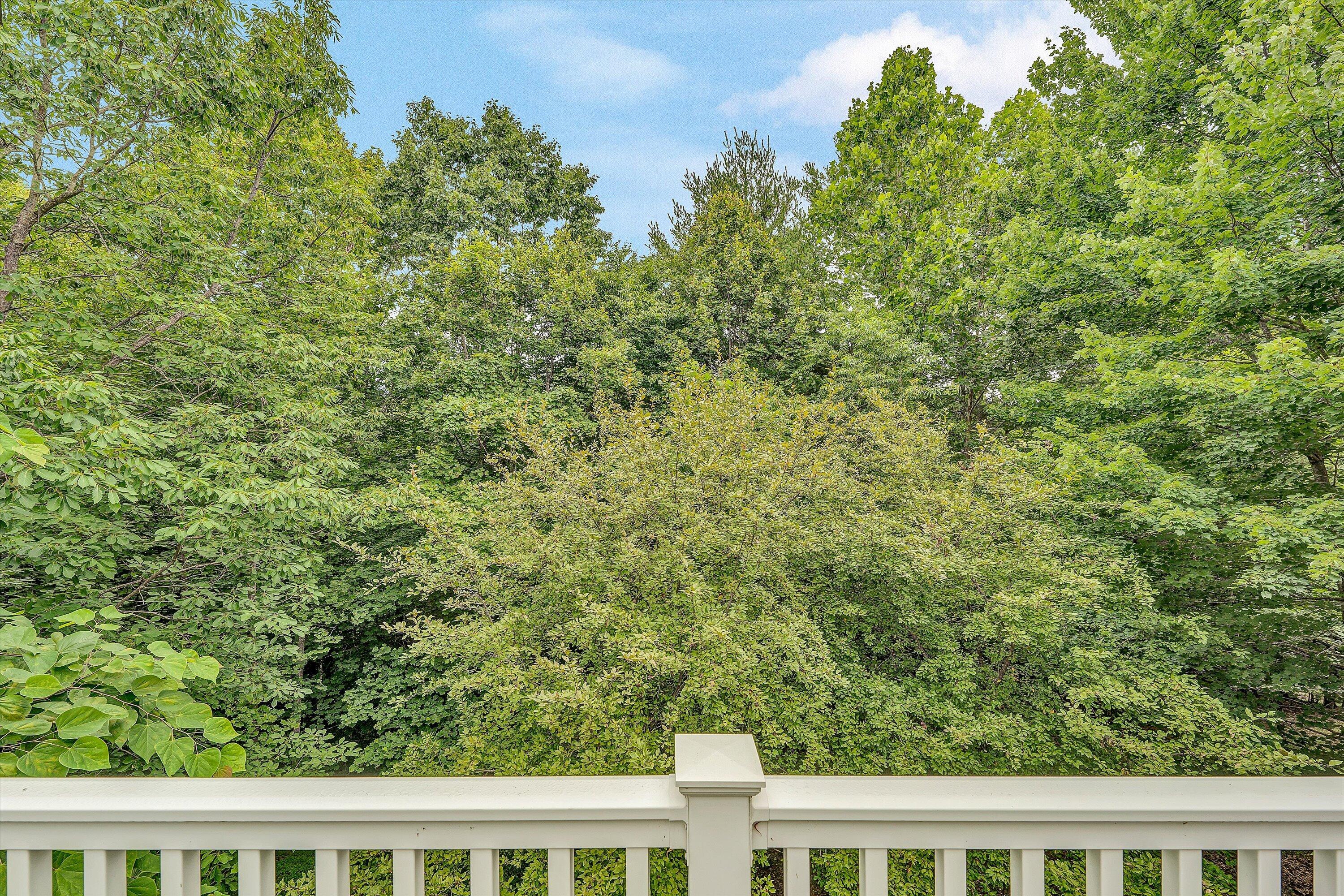 131 Stoney Mill Road Rocky Mount, VA 24151 - Photo 37 of 37 a view of a yard from a window