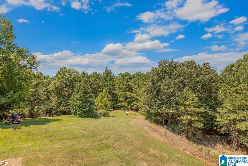 177 Hidden Ridge Drive Odenville, AL 35120 - Photo 29 of 38