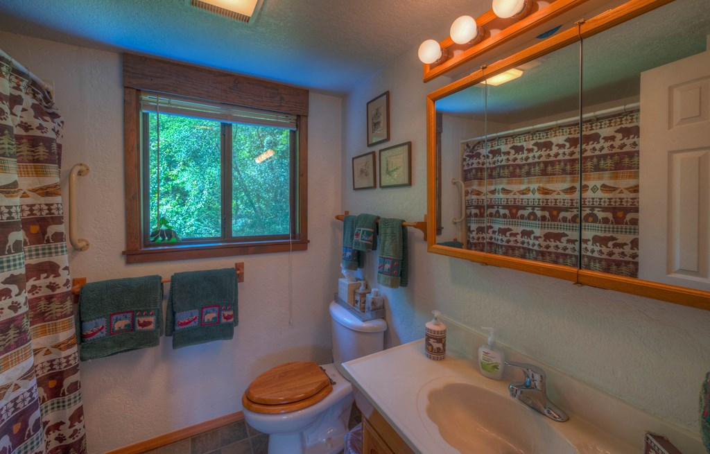 438 McDonald Road Murphy, NC 28906 - Photo 63 of 81 Gallery Image 63