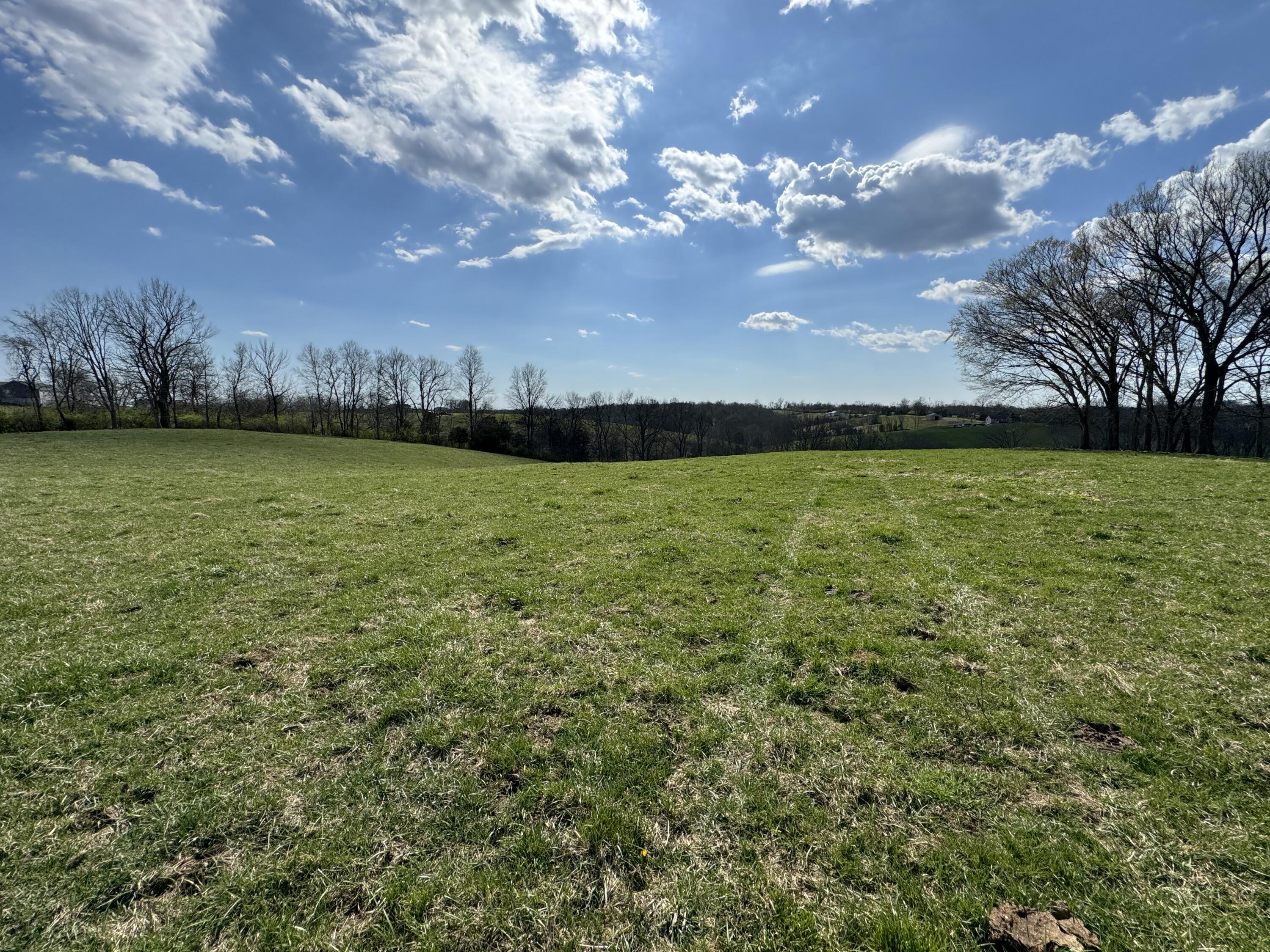 0 Butler Branch Road Flemingsburg, KY 41041 - Photo 10 of 26 IMG_1206