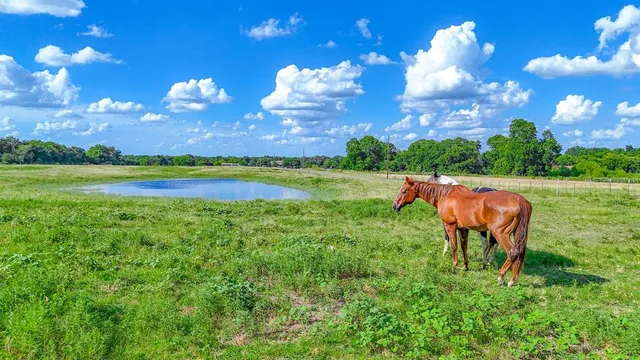 $154,986 | 0150 Northwest Ennis Tx 75119, Ennis, TX 75119