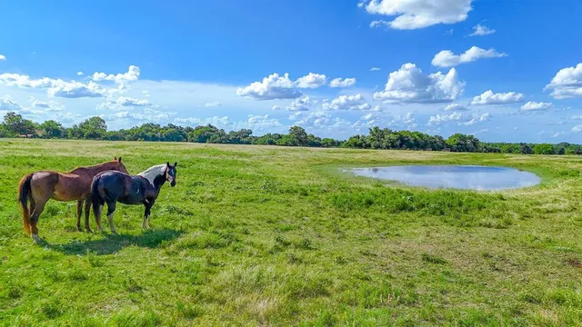 $154,986 | 0150 Northwest Ennis Tx 75119, Ennis, TX 75119